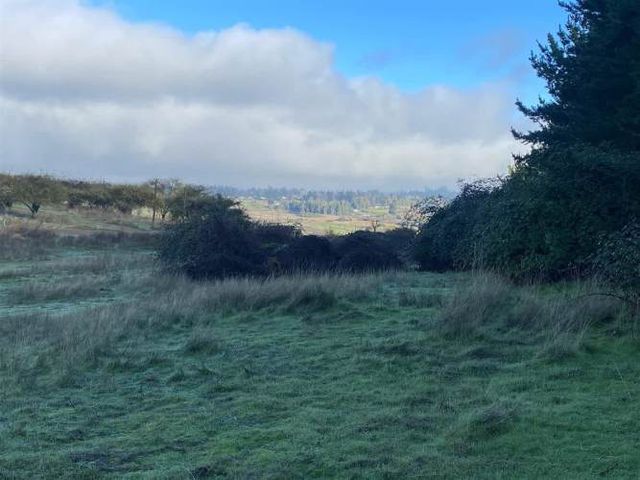 Parcela En Venta En Teno