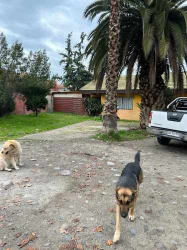 Casa En Venta Oportunidad De 5 Dorm. En Peñaflor