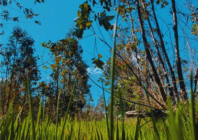 Planas a minutos de Chillan