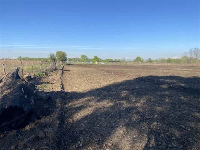 PARCELA Sector Rinconada de Cato