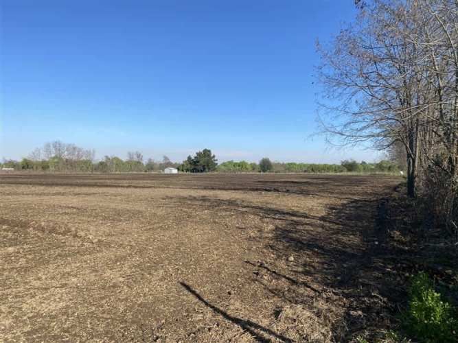 PARCELA Sector Rinconada de Cato