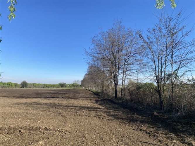 PARCELA Sector Rinconada de Cato