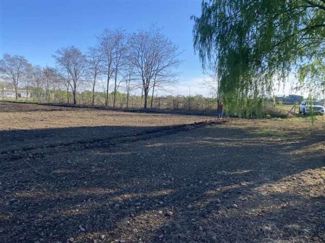 PARCELA Sector Rinconada de Cato