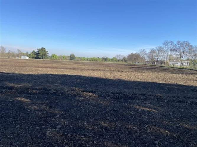 PARCELA Sector Rinconada de Cato