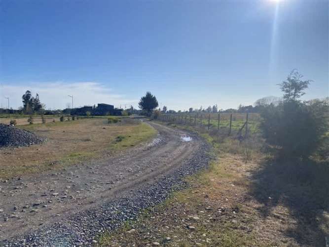 PARCELA Sector Rinconada de Cato