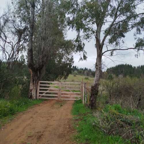 SE VENDE SITIO CERCA DE QUILLÓN