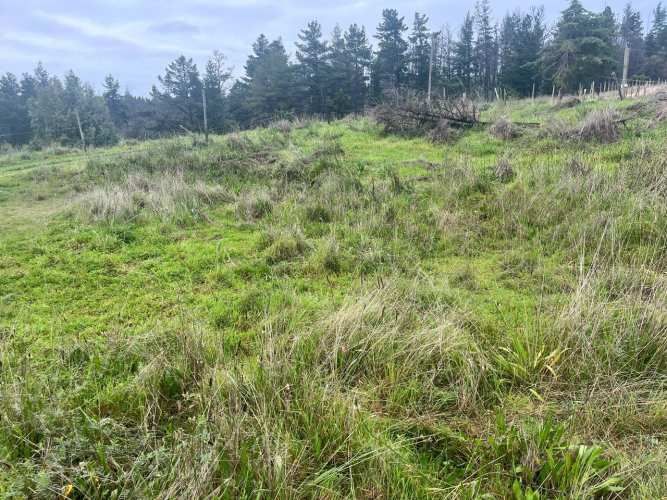 SE VENDE SITIO CERCA DE QUILLÓN