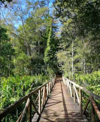 Casa ampliada en Sector El Bosque, Valdivia.