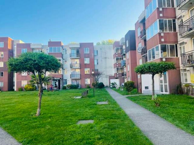 Departamento Cipreses de Bellavista