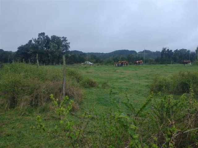 PARCELA Teguaco Bajo