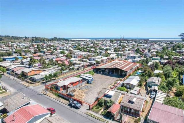 LOCAL COMERCIAL Lota, Coronel