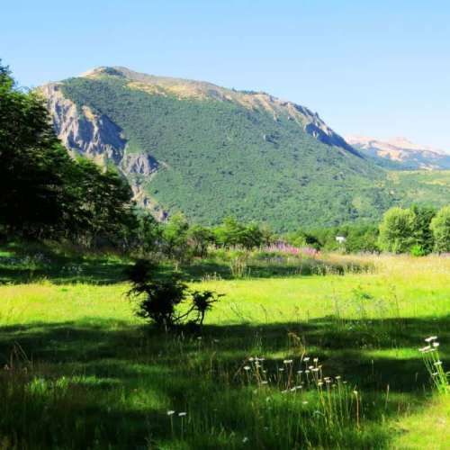 Sitio  VILLA ORTEGA CHACRA 68