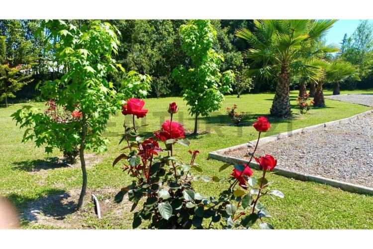 VENTA PARCELA CALERA DE TANGO- LO ERMITA