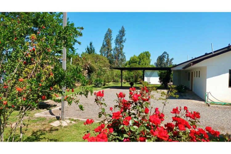 VENTA PARCELA CALERA DE TANGO- LO ERMITA