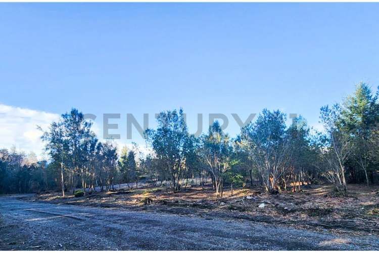 VENTA PARCELA PUCON EN CONDOMINIO