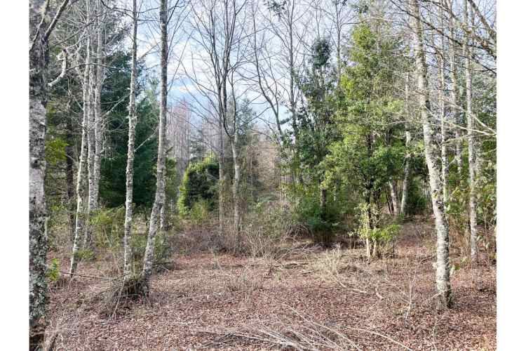 VENTA PARCELA PUCON EN CONDOMINIO