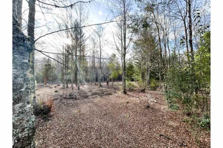 VENTA PARCELA PUCON EN CONDOMINIO