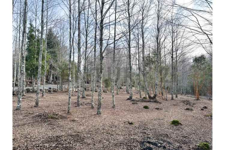 VENTA PARCELA PUCON EN CONDOMINIO