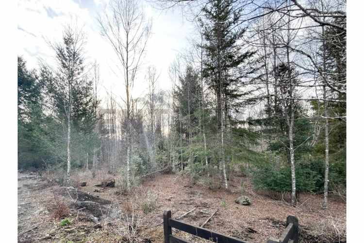 VENTA PARCELA PUCON EN CONDOMINIO