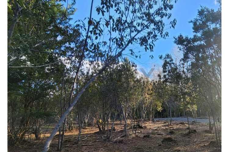 VENTA PARCELA PUCON EN CONDOMINIO