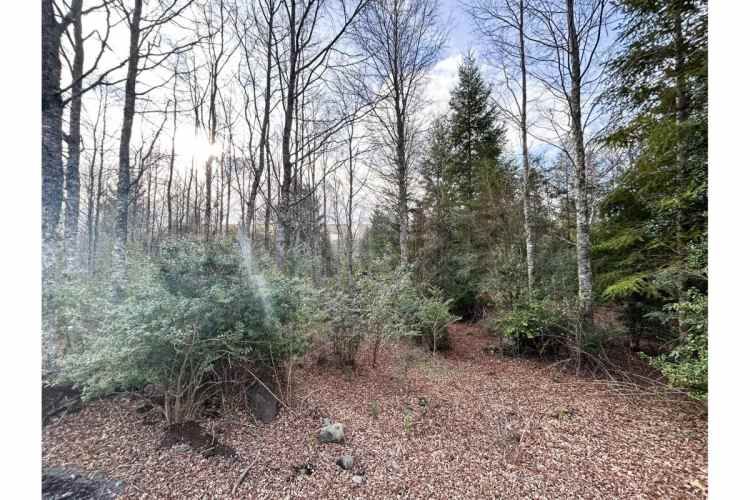 VENTA PARCELA PUCON EN CONDOMINIO