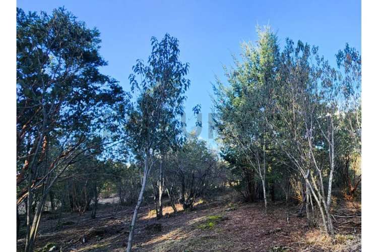 VENTA PARCELA PUCON EN CONDOMINIO