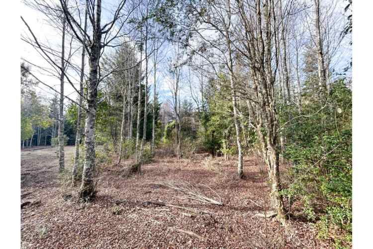 VENTA PARCELA PUCON EN CONDOMINIO