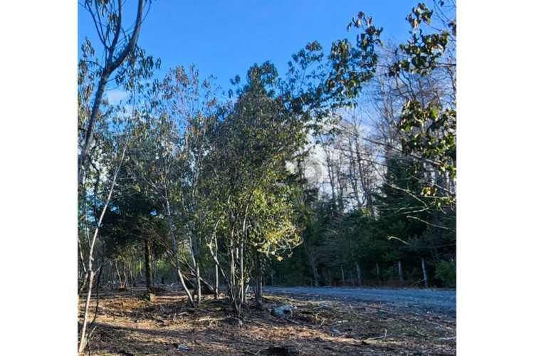 VENTA PARCELA PUCON EN CONDOMINIO