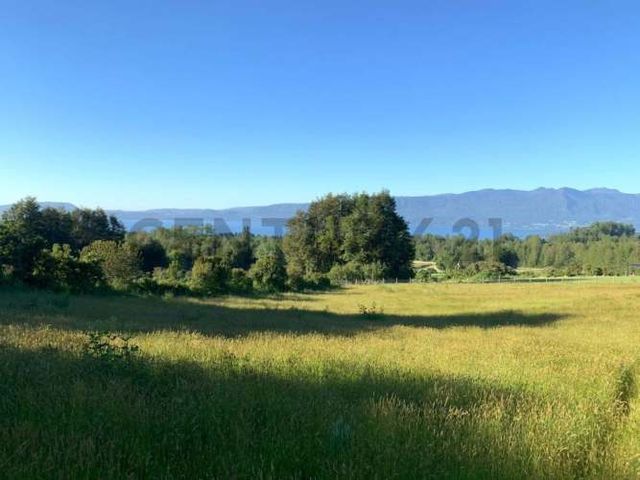 Oportunidad parcelas con vista al lago Los Riscos