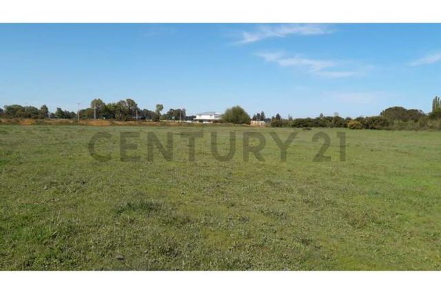 Terreno 1 ha a pasos de la Escuela Ñereco, Lautaro