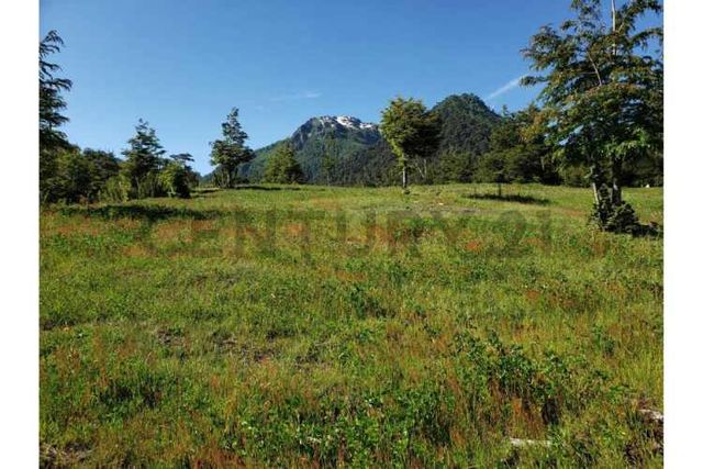 Parque natural de parcelas 80,5 ha en Melipeuco