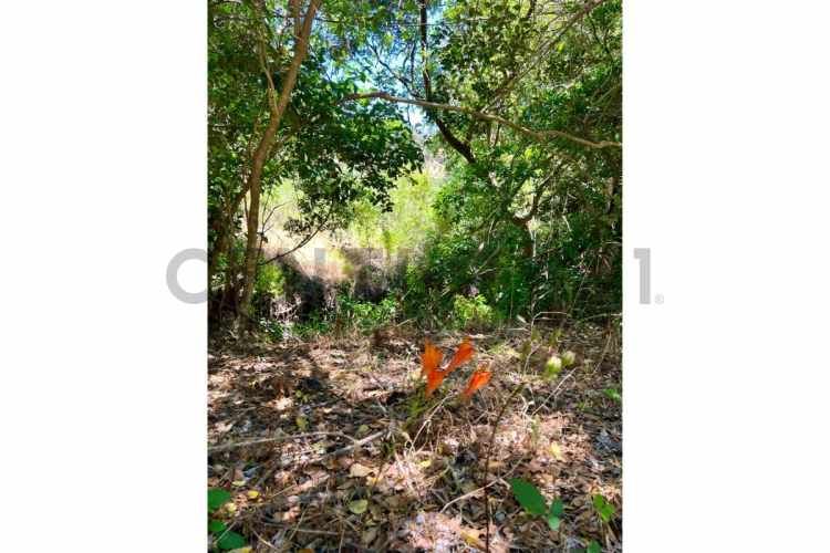 SE VENDE PARCELA EN SANTO DOMINGO - MATANZAS