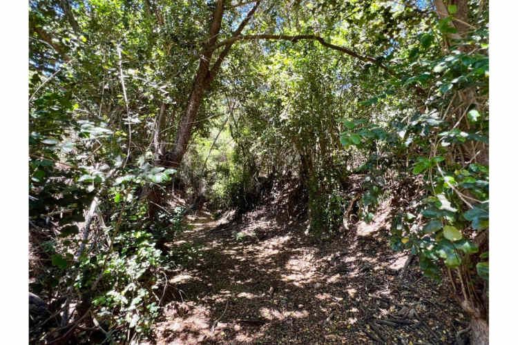 SE VENDE PARCELA EN SANTO DOMINGO - MATANZAS