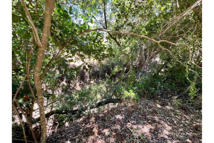 SE VENDE PARCELA EN SANTO DOMINGO - MATANZAS