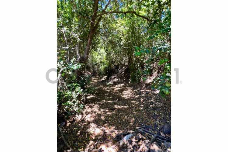 SE VENDE PARCELA EN SANTO DOMINGO - MATANZAS