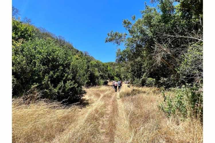 SE VENDE PARCELA EN SANTO DOMINGO - MATANZAS