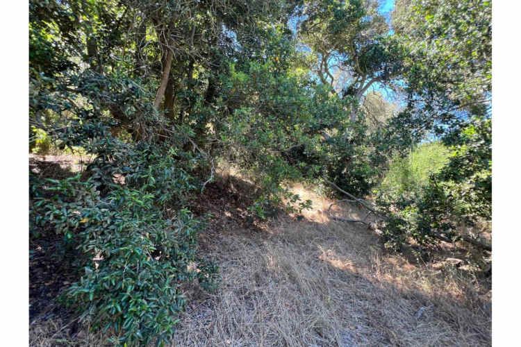 SE VENDE PARCELA EN SANTO DOMINGO - MATANZAS