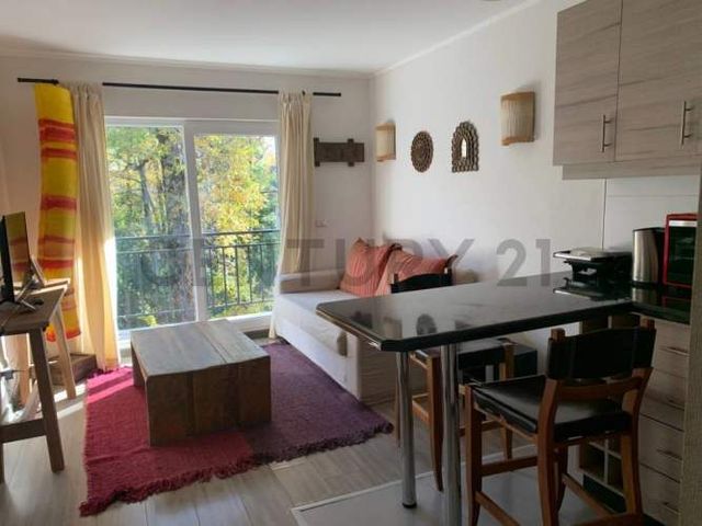 Hermoso departamento 1D 1B  Cond  Pucón Andino
