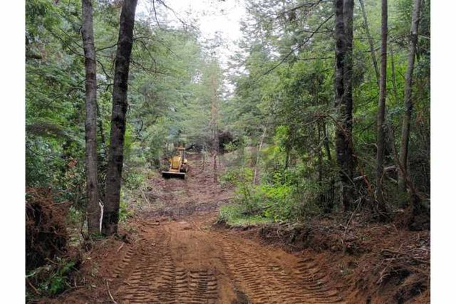 Parcela orilla camino km 3 subida Los Nevados