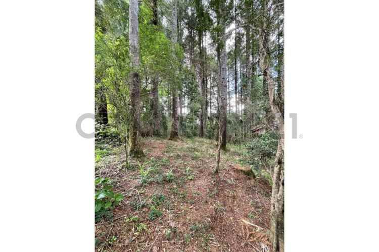 VENTA PARCELA PUCON - CABURGUA