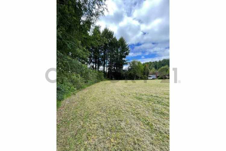 VENTA PARCELA PUCON - CABURGUA