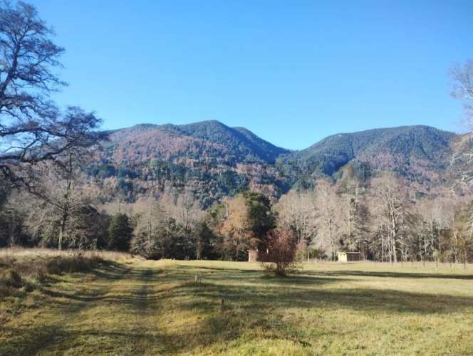 Parcela Reserva Dawullco