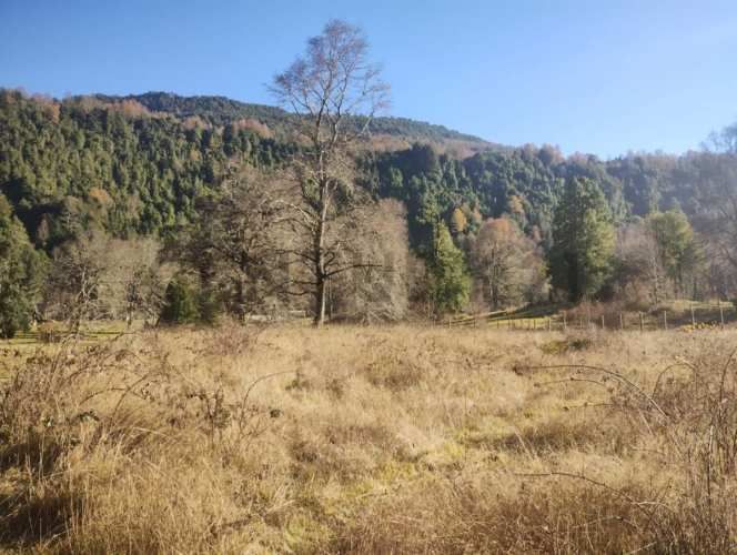 Parcela Reserva Dawullco