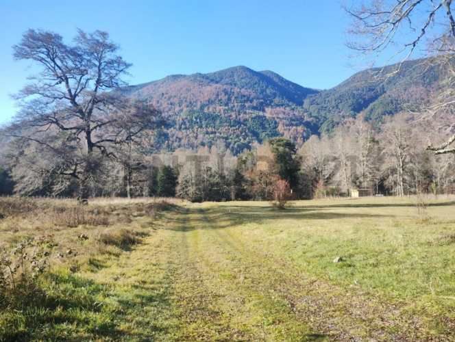 Parcela Reserva Dawullco