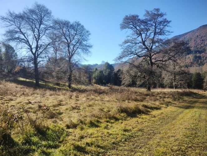 Parcela Reserva Dawullco