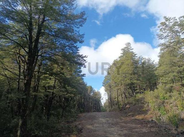 Venta Parcela en condominio con luz y agua a 15 km de Pucón
