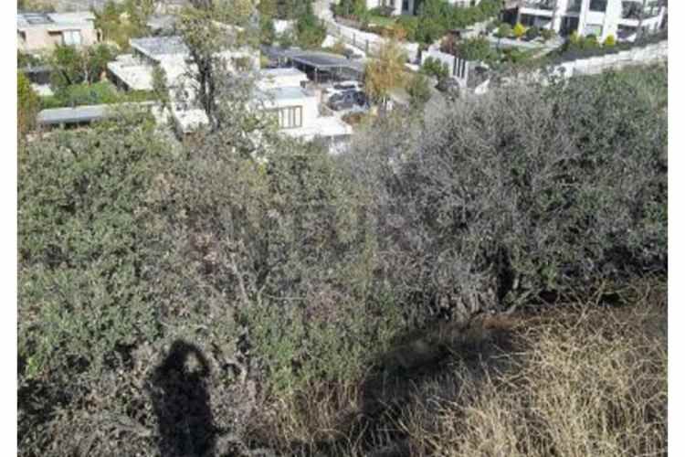 VENTA TERRENO LO BARNECHEA