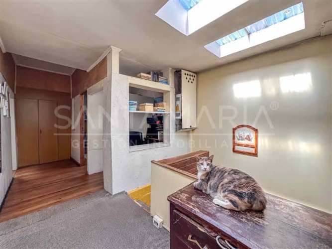 LOCAL COMERCIAL Cochrane, Concepción