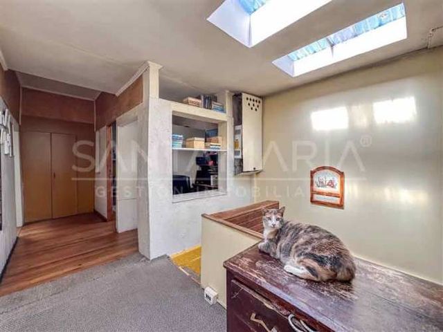 LOCAL COMERCIAL Cochrane, Concepción