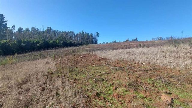 TERRENO CONSTRUCCION TERRENO DE 5,2 HECTÁREAS EN VENTA – SECTOR MILLAPOA, NACIMIENTO